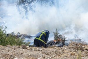 50 εκτάρια καμένης γης άφησε πίσω της η φωτιά στο Πεντάκωμο
