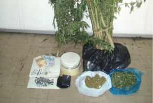 Είχε στην αυλή του φυτό κάνναβης ενός μέτρου