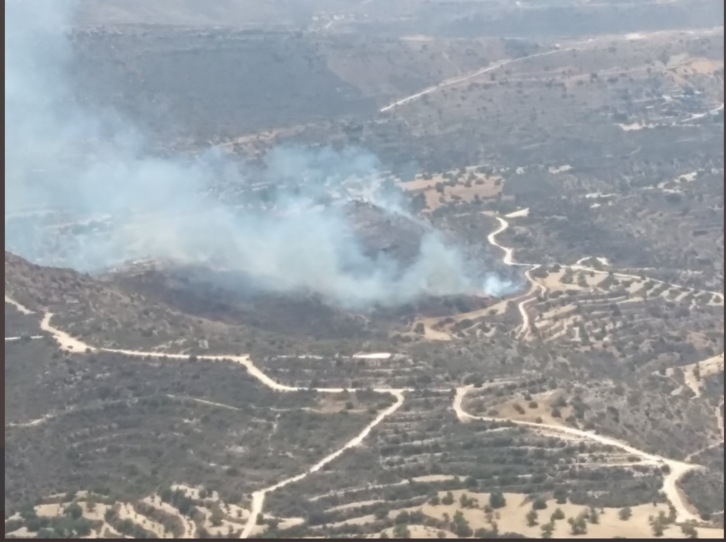 ΒΙΝΤΕΟ&ΦΩΤΟ: Πύρινος εφιάλτης στη Φασούλα της επαρχίας Λεμεσού