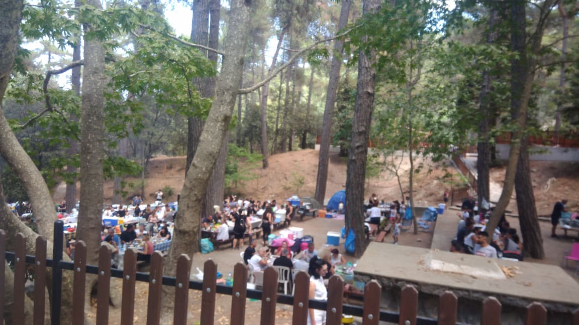 "Ψήφισαν" αγροτουρισμό εκατοντάδες Κύπριοι για τον Δεκαπενταύγουστο (ΒΙΝΤΕΟ)