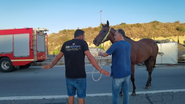 ΦΩΤΟ: Επιχείρηση για απεγκλωβισμό των τραυματισμένων αλόγων από την καρότσα