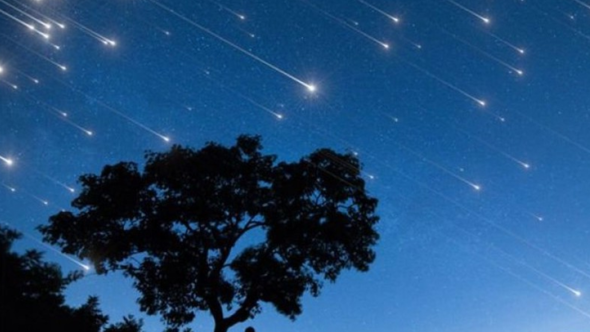 Το εντυπωσιακό φαινόμενο των Περσείδων στο μενού του Αυγούστου (ΒΙΝΤΕΟ)