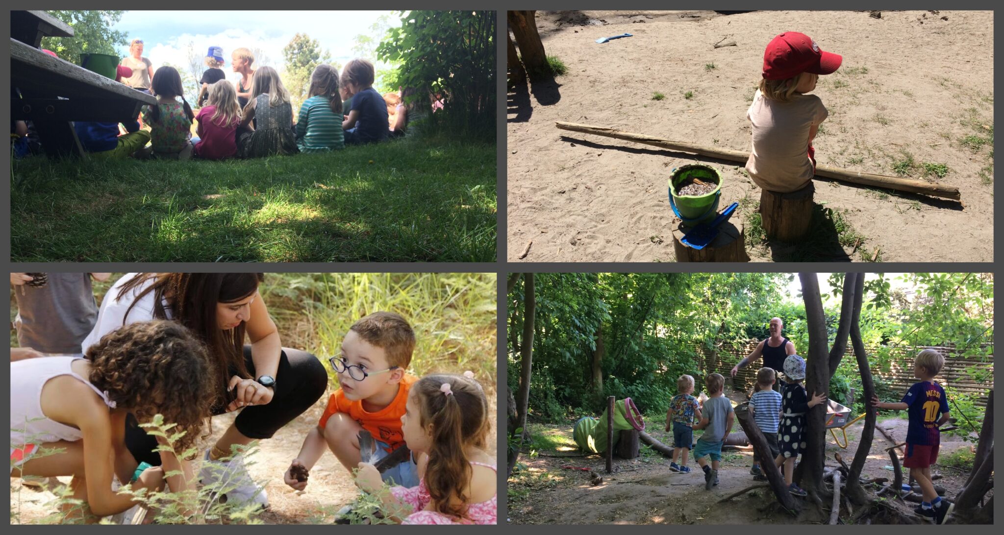 Σχολείο του Δάσους στον Κόρνο: Αντί για σχολικές αίθουσες μάθημα στη φύση