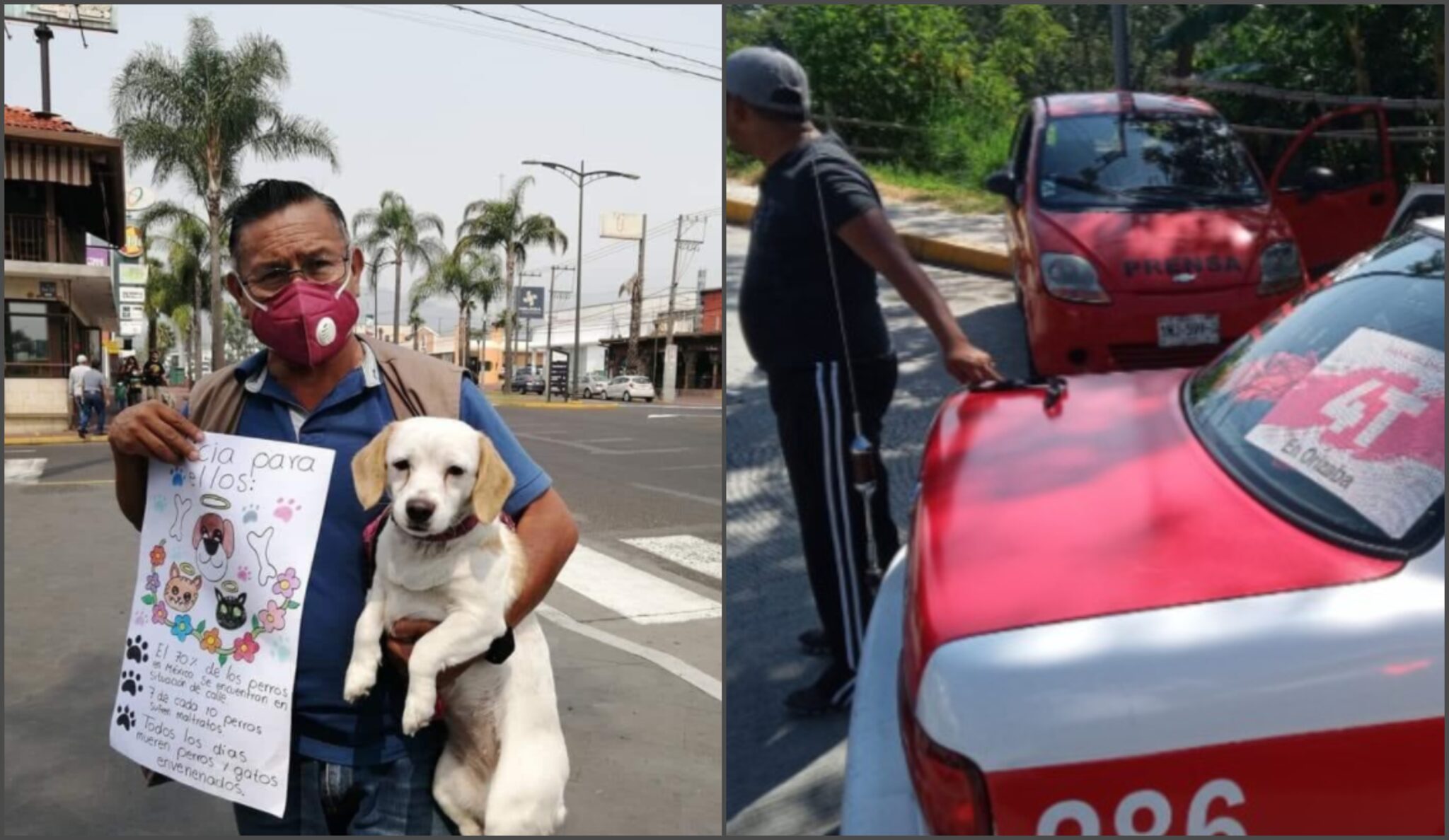 Μεξικό: Δολοφονήθηκε δημοσιογράφος, ο 6ος μέσα στο 2021 (ΒΙΝΤΕΟ)