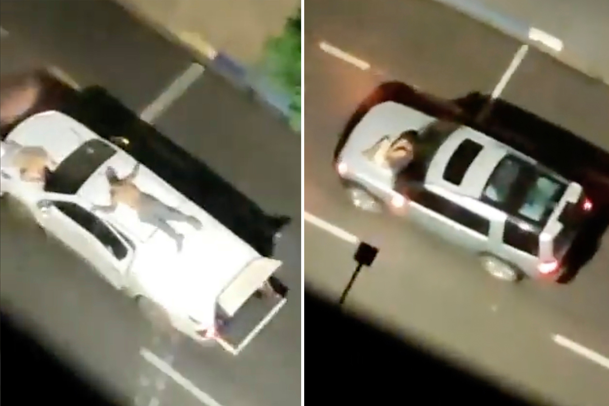 ΒΙΝΤΕΟ: Απίστευτη ληστεία τράπεζας με χρήση ανθρώπινων ασπίδων σε οχήματα