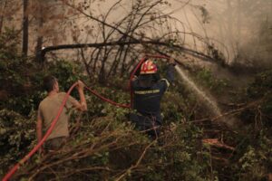 "Συναγερμός" για την πυρκαγιά που ξέσπασε στην Κομοτηνή