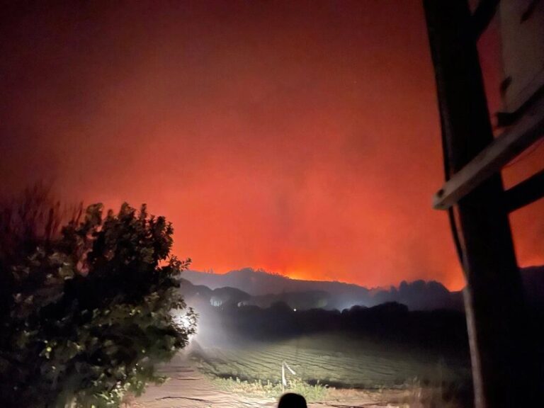 Νύχτα αγωνίας για τα πύρινα μέτωπα σε Αρχαία Ολυμπία, Β.Εύβοια και Μεσσηνία