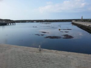 Ανησυχία Οικολόγων για τις καταγγελίες για θαλάσσια ρύπανση στον Κάτω Πύργο