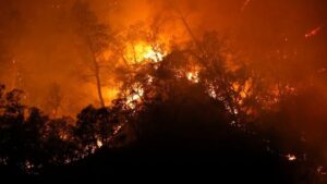 Φονικές πυρκαγιές στην Αλγερία: Τουλάχιστον 65 άνθρωποι έχουν χάσει τη ζωή τους