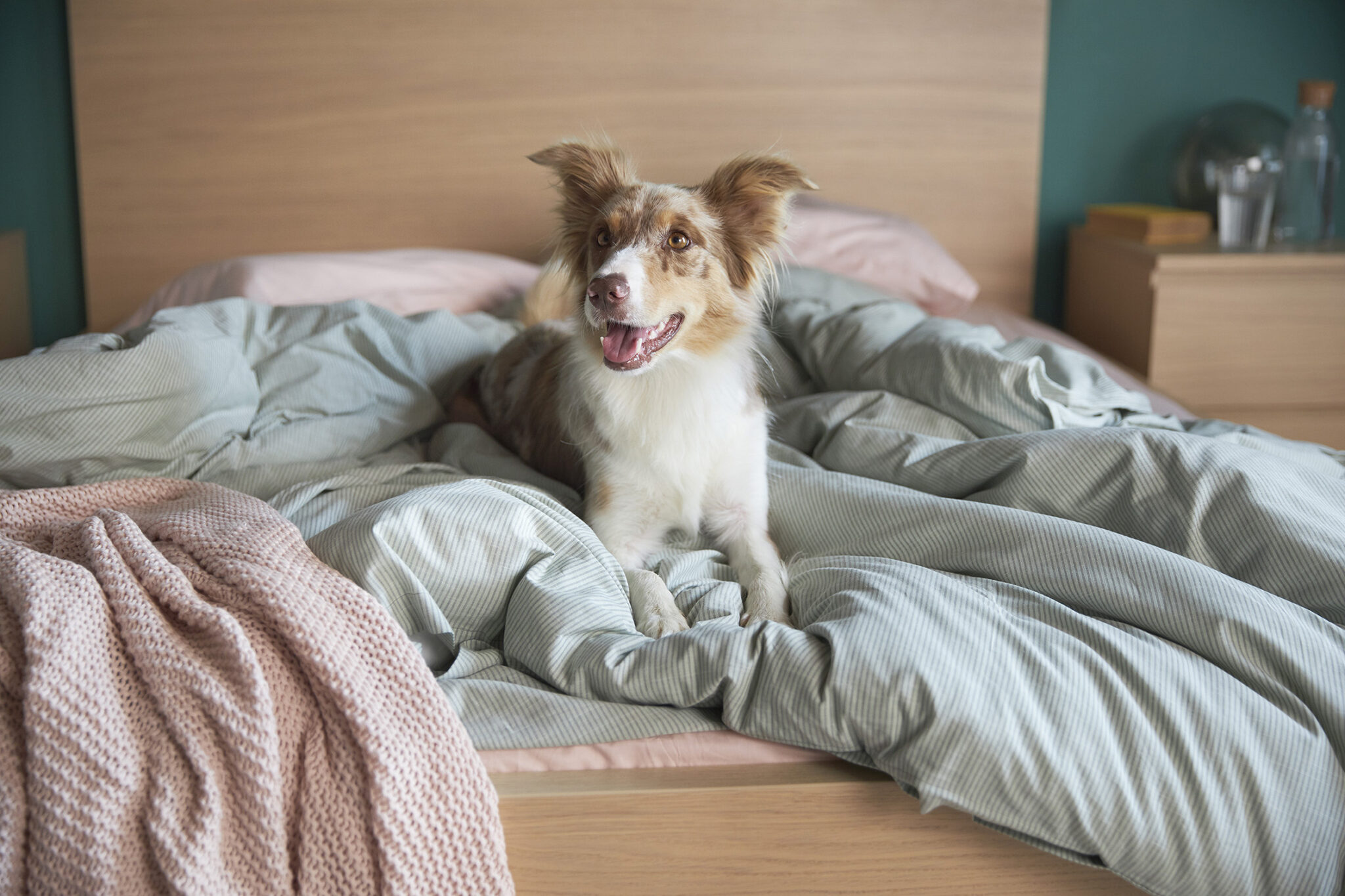 Νέα Καμπάνια ΙΚΕΑ