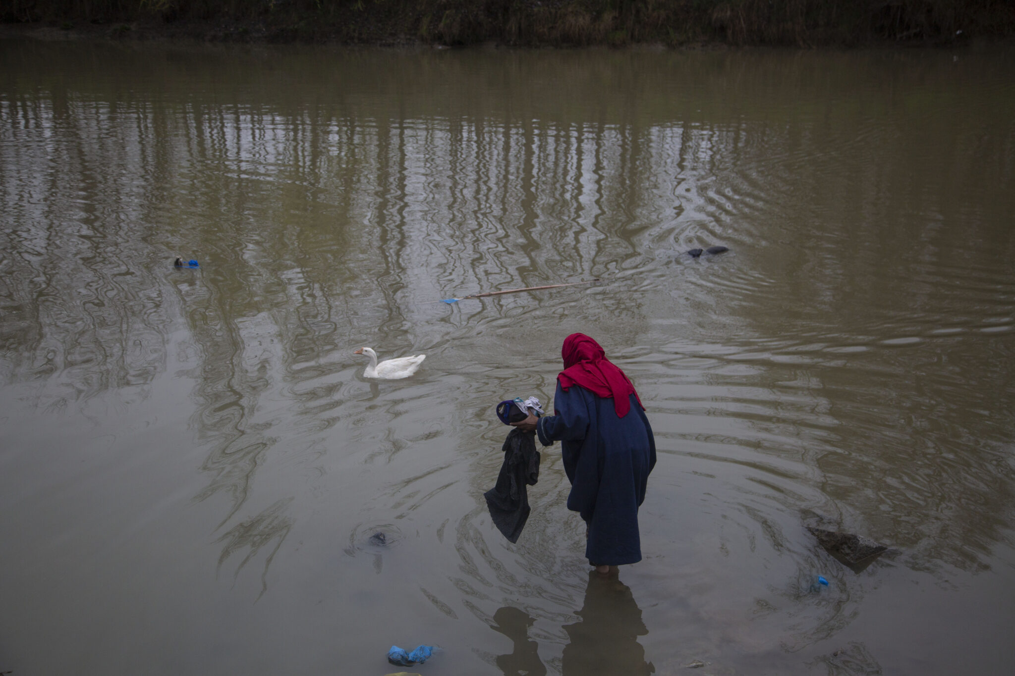 Η ποινή επίδοξου βιαστή: Θα πλένει τα ρούχα 2.000 γυναικών για 6 μήνες