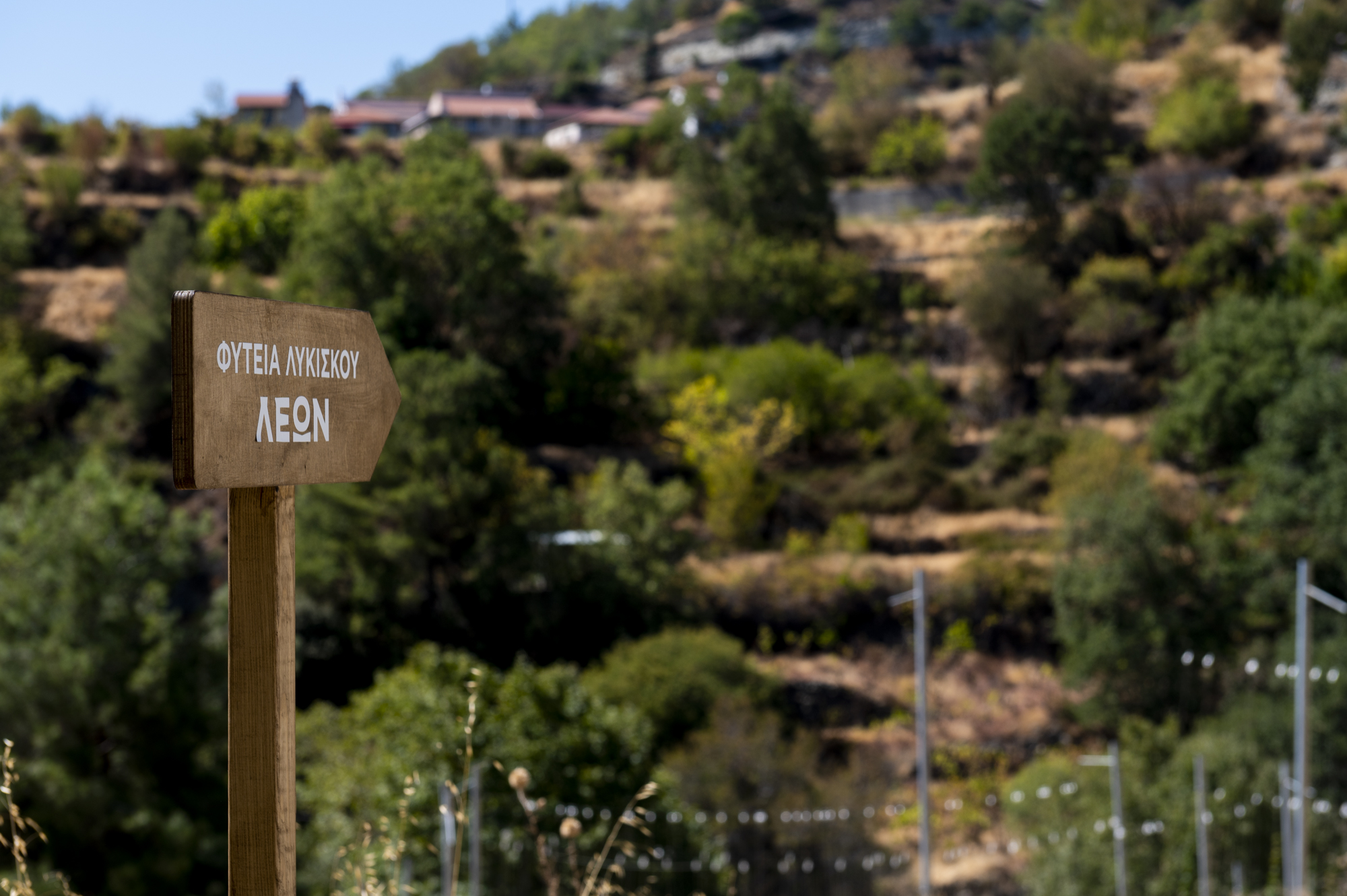 ΛΕΩΝ: Η πρώτη και η μόνη κυπριακή μπύρα με λυκίσκο κυπριακής σοδιάς