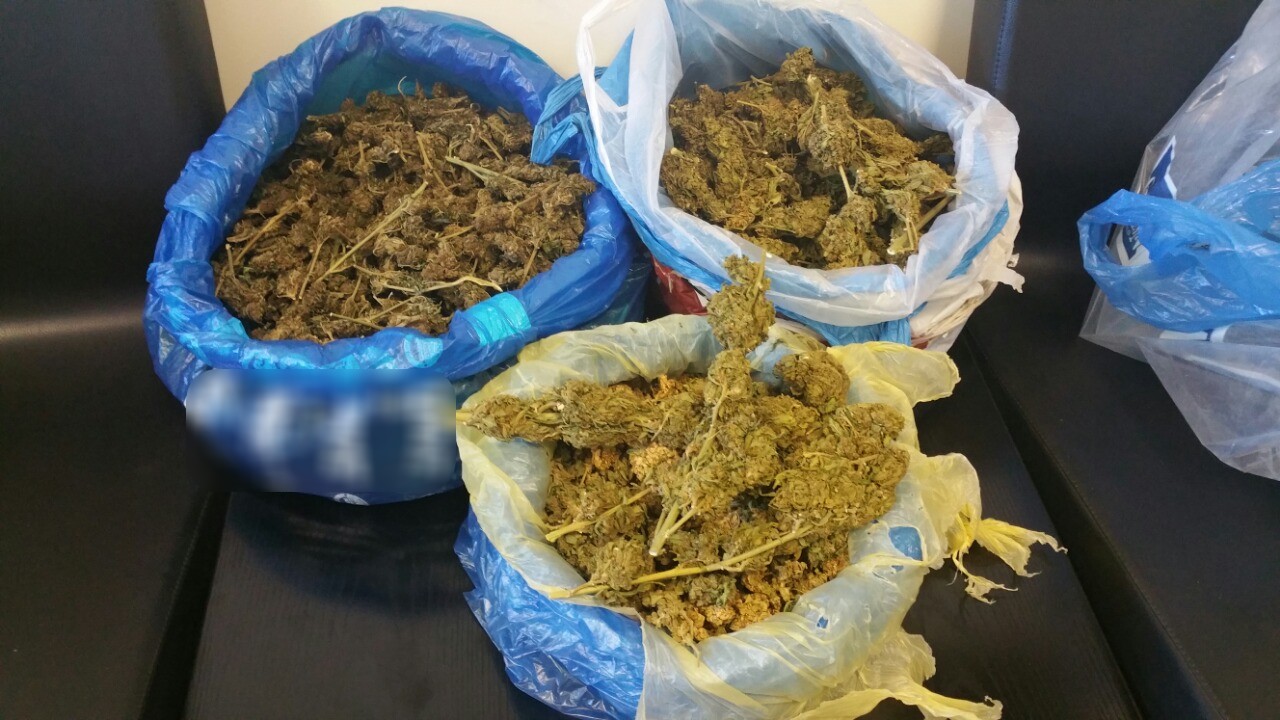 Ψάχνουν άλλους δυο για τα 7kg κάνναβης που εντοπίστηκαν σε οικία 21χρονου
