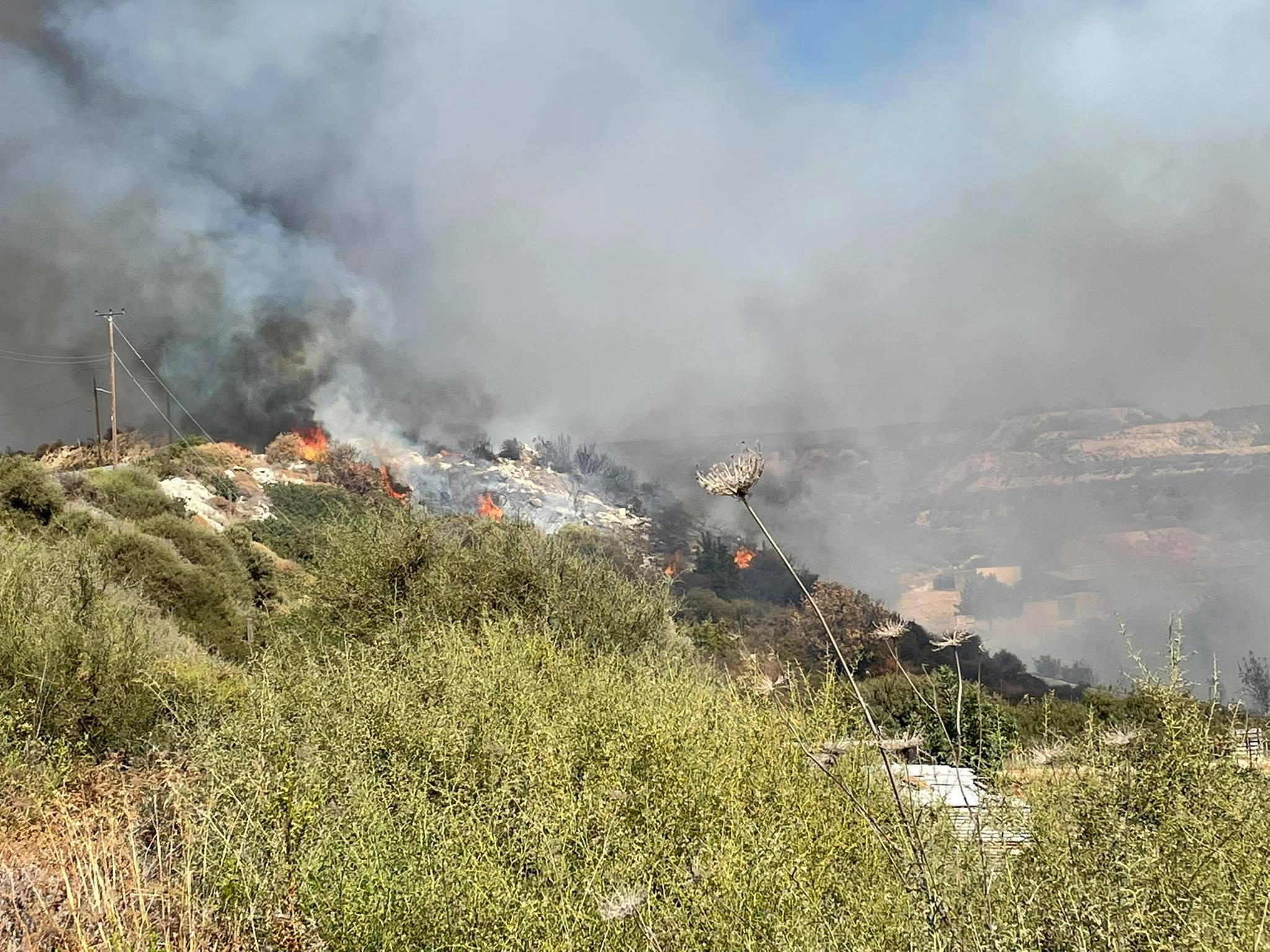 Νέο "χτύπημα" των εμπρηστών, από θαύμα σώθηκαν περιουσίες (ΒΙΝΤΕΟ)