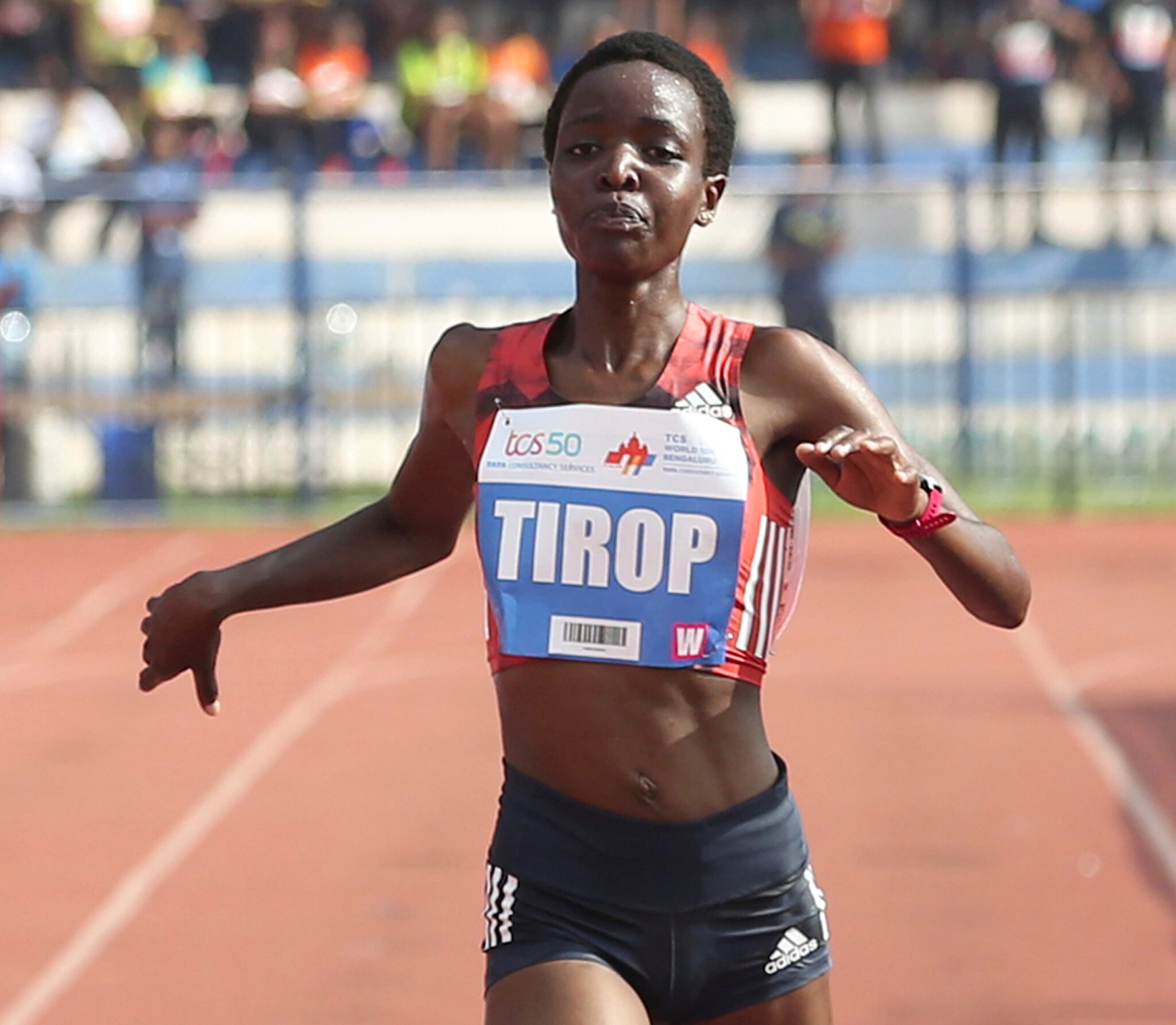 Δολοφόνησαν την Άγκνες Τίροπ: Βρέθηκε νεκρή από μαχαιριές στην κοιλιά