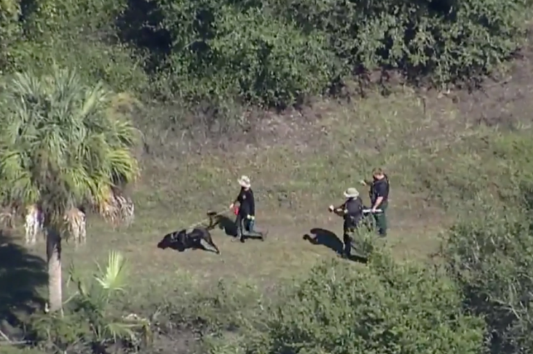 Στον αρραβωνιαστικό της Γκάμπι ανήκουν τα λείψανα που βρέθηκαν σε πάρκο