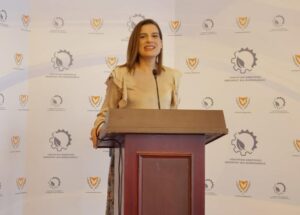 Πηλείδου: Σημαντικός ο ρόλος του φυσικού αερίου ως μεταβατικού καύσιμου