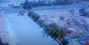 Σοκαριστικές εικόνες: Η στιγμή που όχημα κάνει "βουτιά" από γέφυρα (ΒΙΝΤΕΟ)