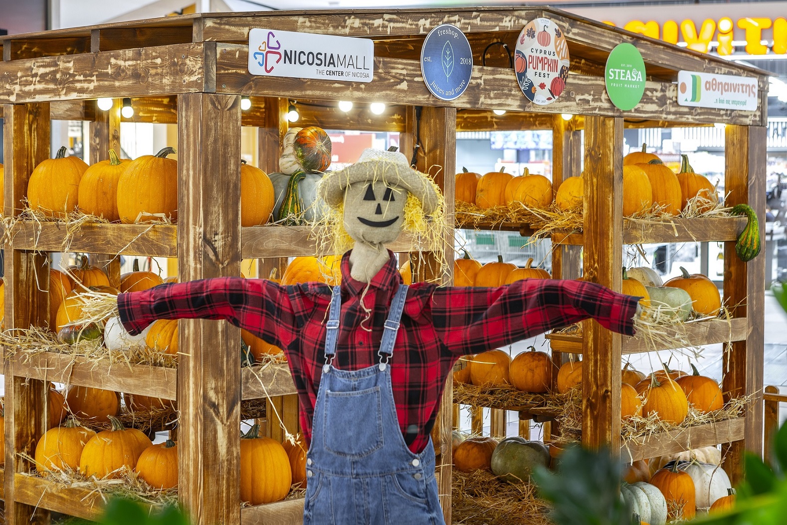 Κολοκύθες και Halloween για καλό σκοπό!