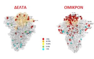 Απλώνει επικίνδυνα τα πλοκάμια της στη Ευρώπη η "Ομικρον" (ΒΙΝΤΕΟ&ΦΩΤΟ)