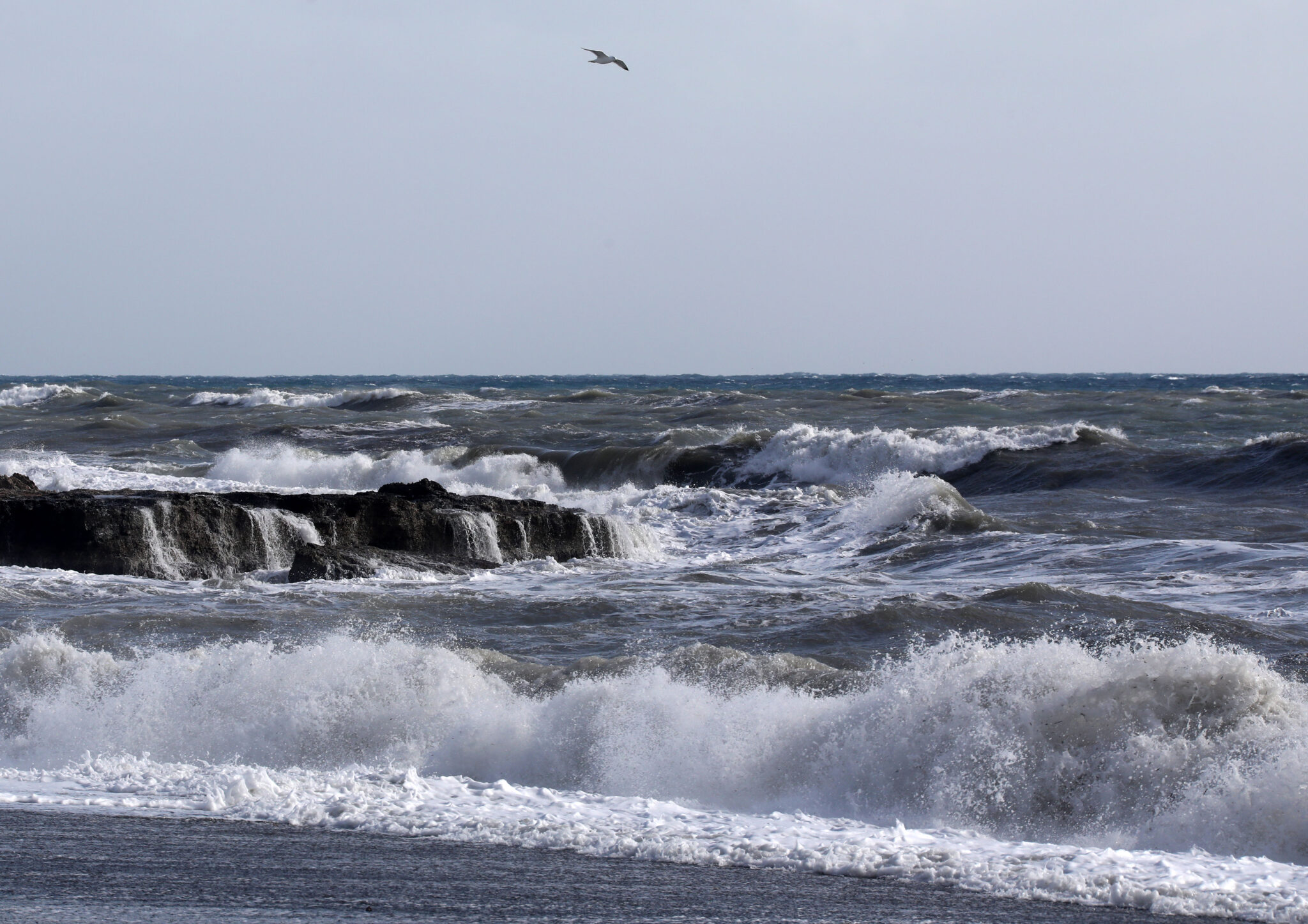 SOS από Πολιτική Άμυνα-Τμήμα Δασών για τα 8 μποφόρ που θα "χτυπήσουν" την Κύπρο
