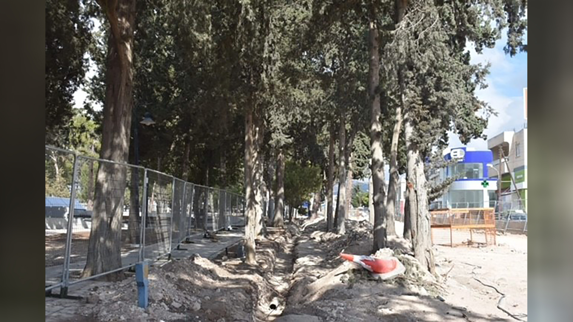 Πάφος: Καταστράφηκαν οι ρίζες πεύκων και κυπαρισσιών από τα έργα στο "Δασούδι"