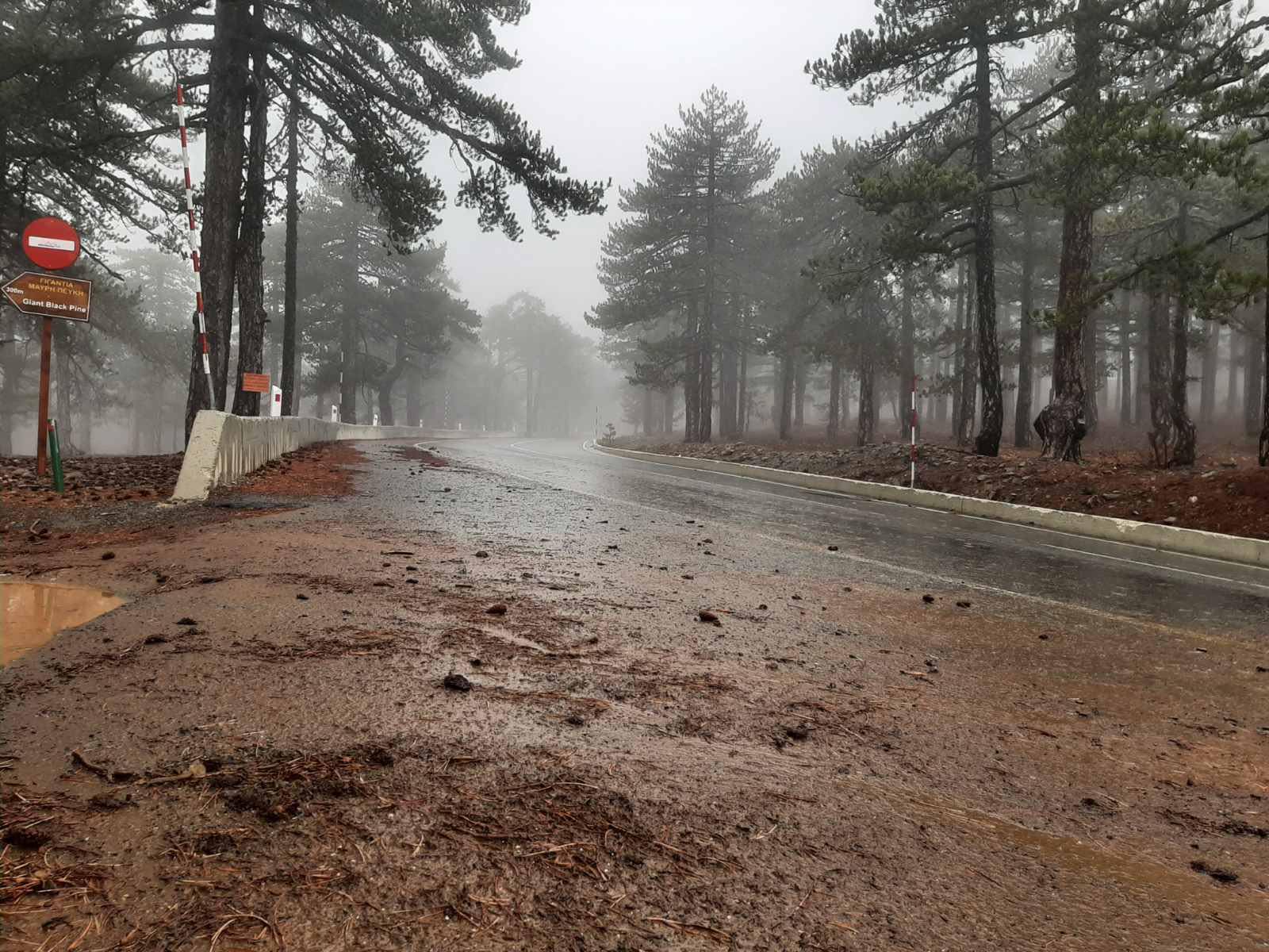 ΦΩΤΟ: Σκηνικό χειμώνα στο Τρόοδος με πυκνή ομίχλη, βροχόπτωση και δυνατό αέρα