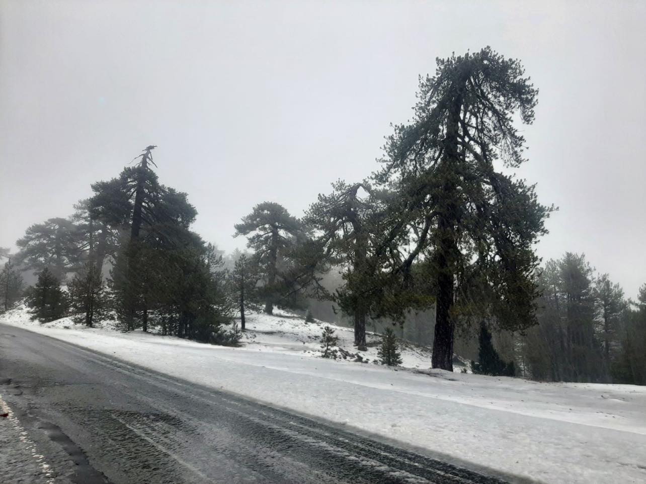 Δεκάδες λάτρεις του χιονιού προσέλκυσε η λευκή μαγεία του Τροόδους (ΒΙΝΤΕΟ)