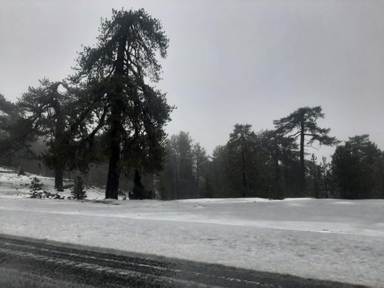 Μαγευτικό τοπίο: "Ξύπνησε" στα λευκά το Τρόοδος (ΒΙΝΤΕΟ&ΦΩΤΟ)