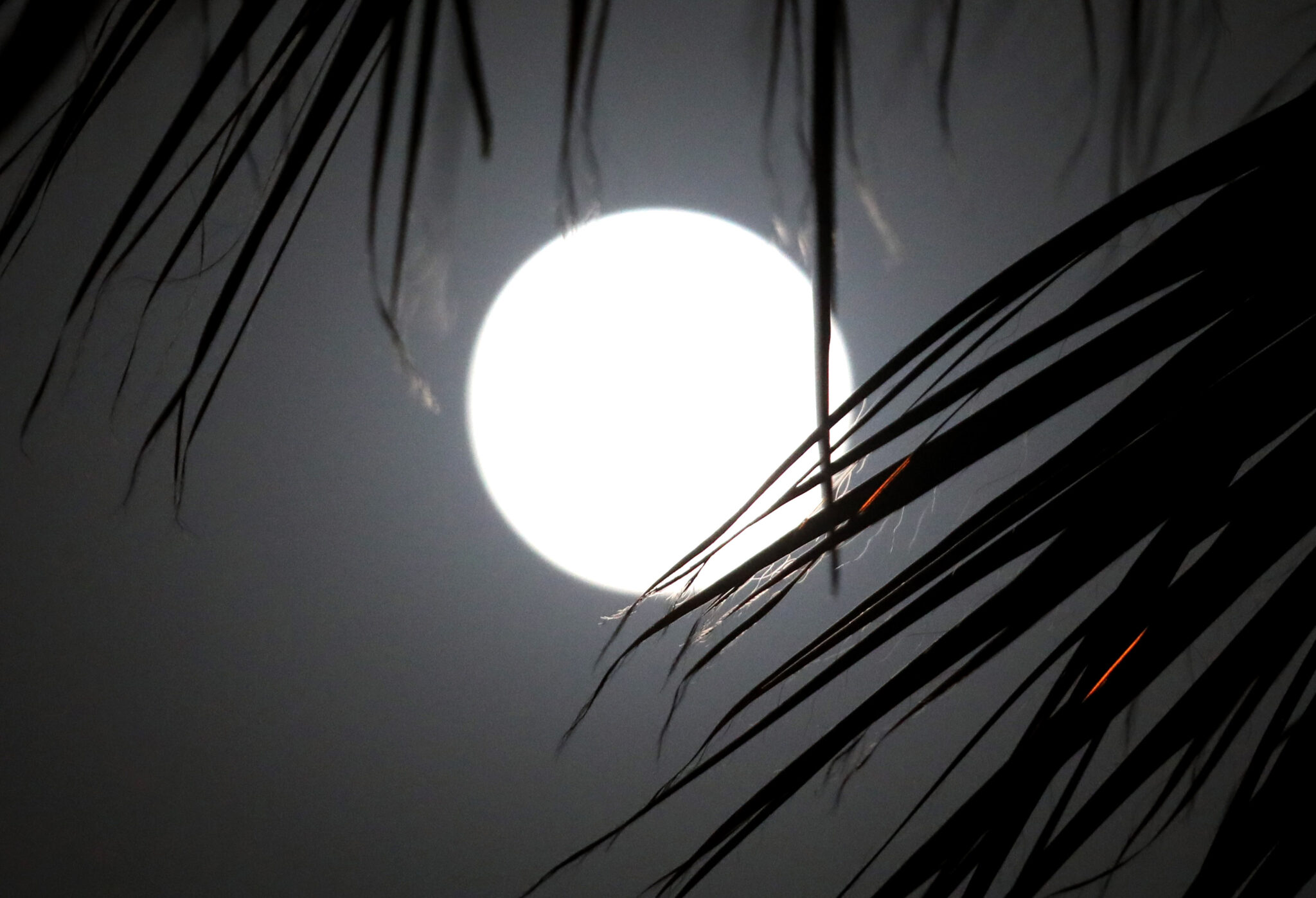 Παγκόσμιος συντονιστής για… το φεγγάρι η Κύπρος (ΒΙΝΤΕΟ)