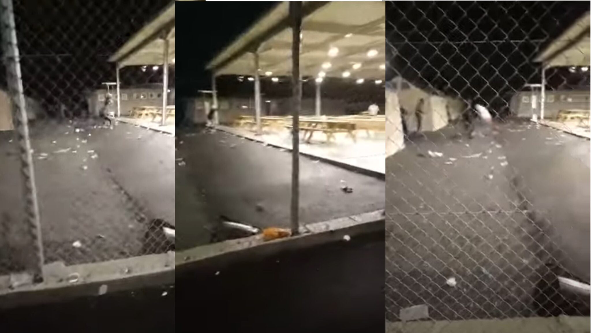 Συμπλοκή μεταναστών και αναταραχή στη Μενόγεια (ΒΙΝΤΕΟ)