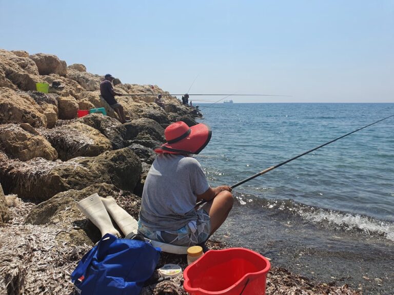 Αντιδράσεις ψαράδων για "φραγμούς" από Τμ. Αλιείας – Ζητούν αύξηση ελέγχων (VID)