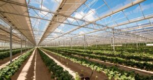 Έρχεται το πρώτο Αγροφωτοβολταϊκό πάρκο για καλλιέργεια κολοκασιού και κολοκύθων