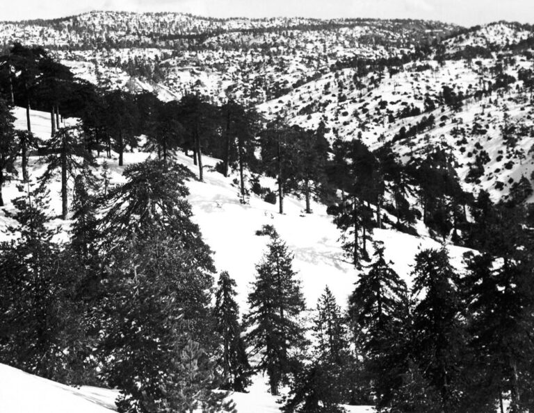 41 χρόνια πριν: Όταν το χιόνι στην πλατεία Τροόδους έφτασε 248 εκατοστά