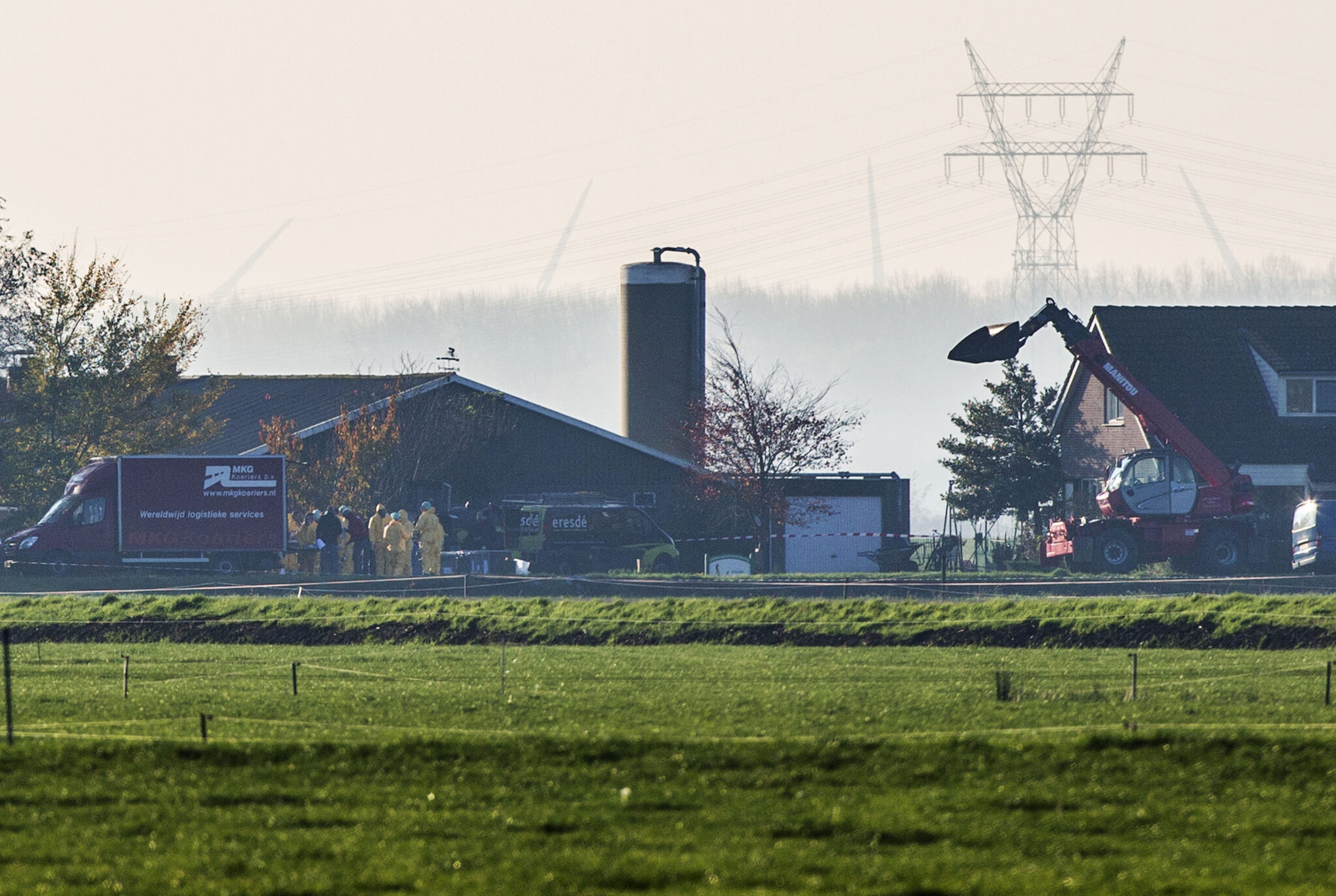 Ολλανδία: Θανατώνουν 170 χιλιάδες πουλερικά λόγω μεταδοτικού στελέχους γρίπης