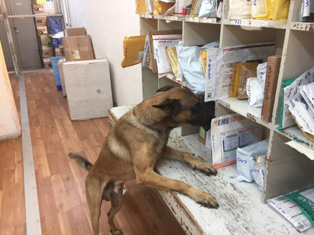 Πήγε στο Ταχυδρομείο να παραλάβει πακέτο με πλαστά €10 και έφυγε με χειροπέδες