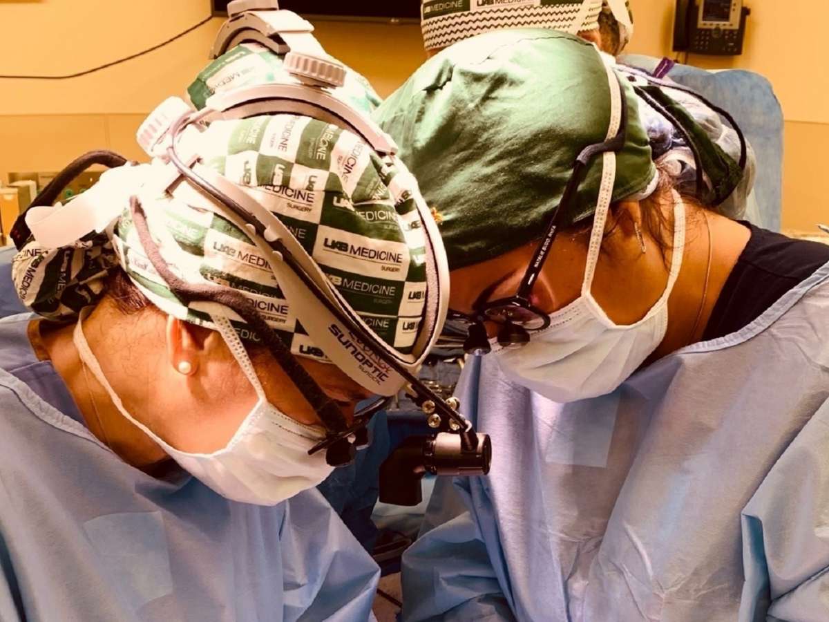 Νέο ιατρικό άλμα: Μεταμόσχευσαν με επιτυχία δύο νεφρούς από χοίρο σε άνθρωπο