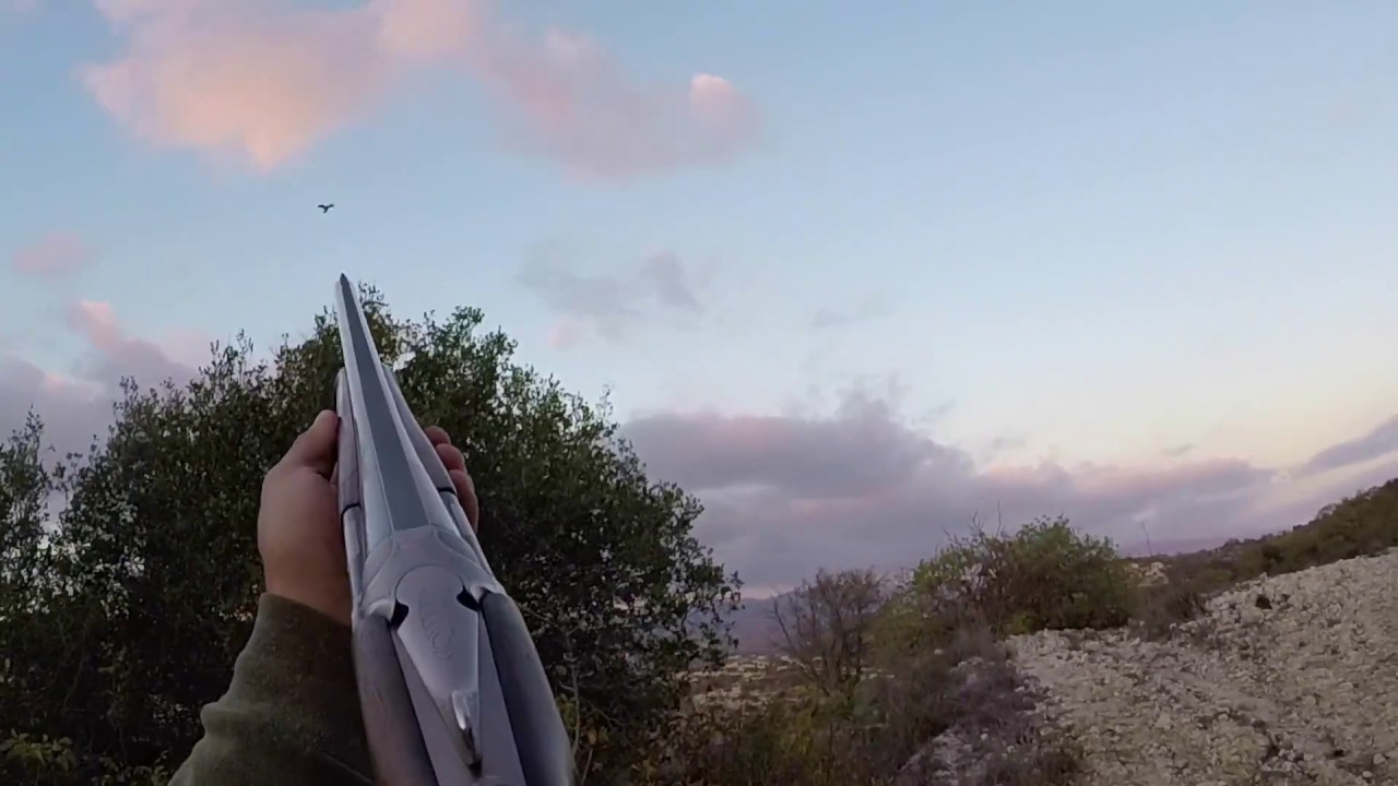 Πήγαν για κυνήγι και έφυγαν με εξώδικο πρόστιμο