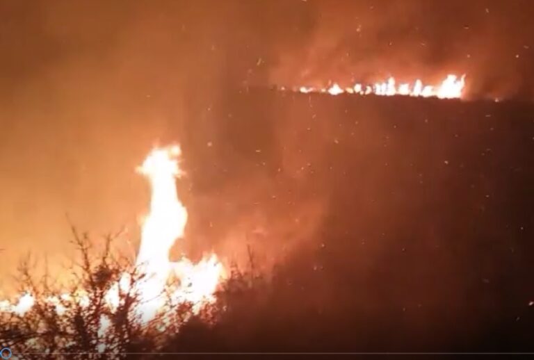 Μεγάλη πυρκαγιά τα ξημερώματα στον Αγ. Ιωάννη της Πάφου (ΦΩΤΟ)