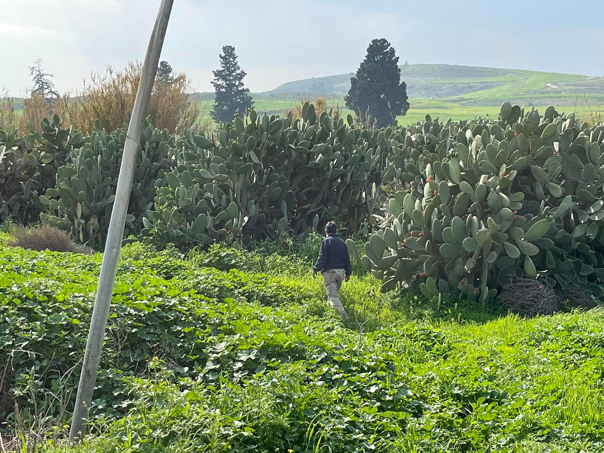 Απλοποιούνται οι κανόνες της ΚΑΠ: Λιγότερη γραφειοκρατία, περισσότερη στήριξη στους αγρότες