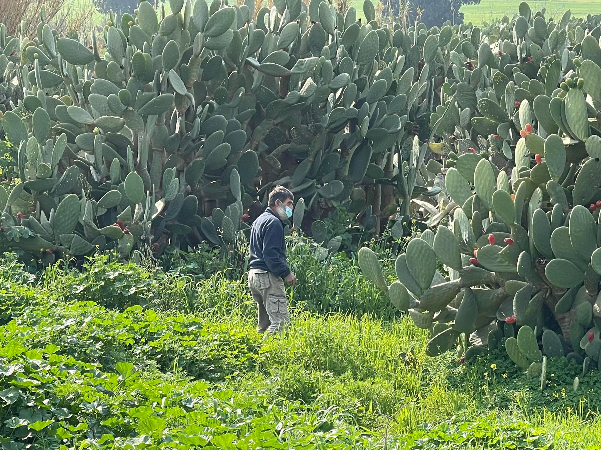 Στο "Πουρνάρα" εντοπίστηκε η τρίχρονη αγνοούμενη που χάθηκε στη Νεκρή Ζώνη