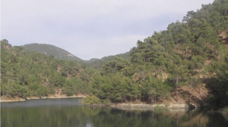 "Ελπιδοφόρα μηνύματα": Υπερχείλισε το φράγμα της Αγίας Μαρίνας Χρυσοχούς