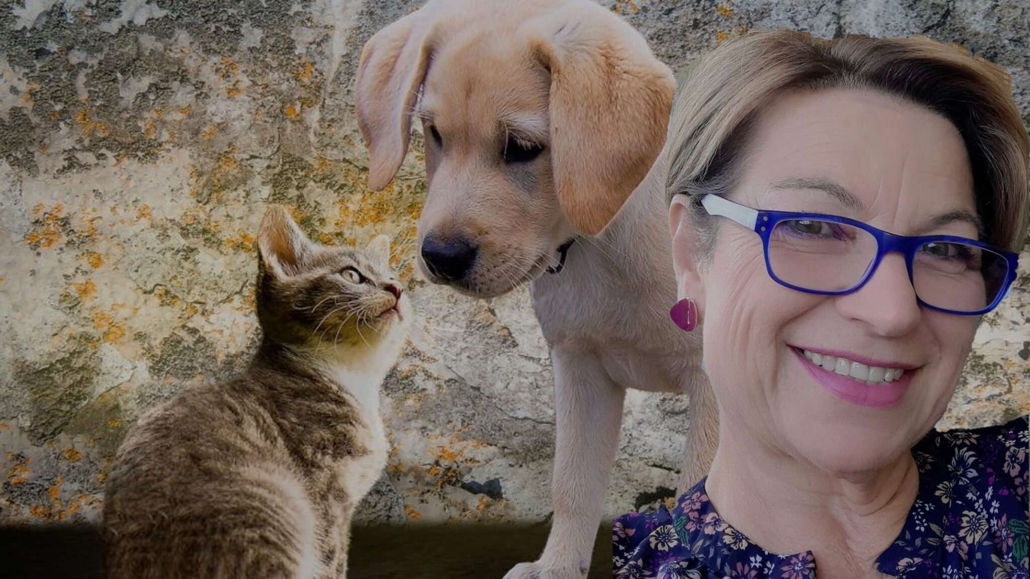 "Έχω ένα σκυλάκι 6 ετών και αναρωτιέμαι, αν φύγει από τη ζωή πού θα το θάψουν;"