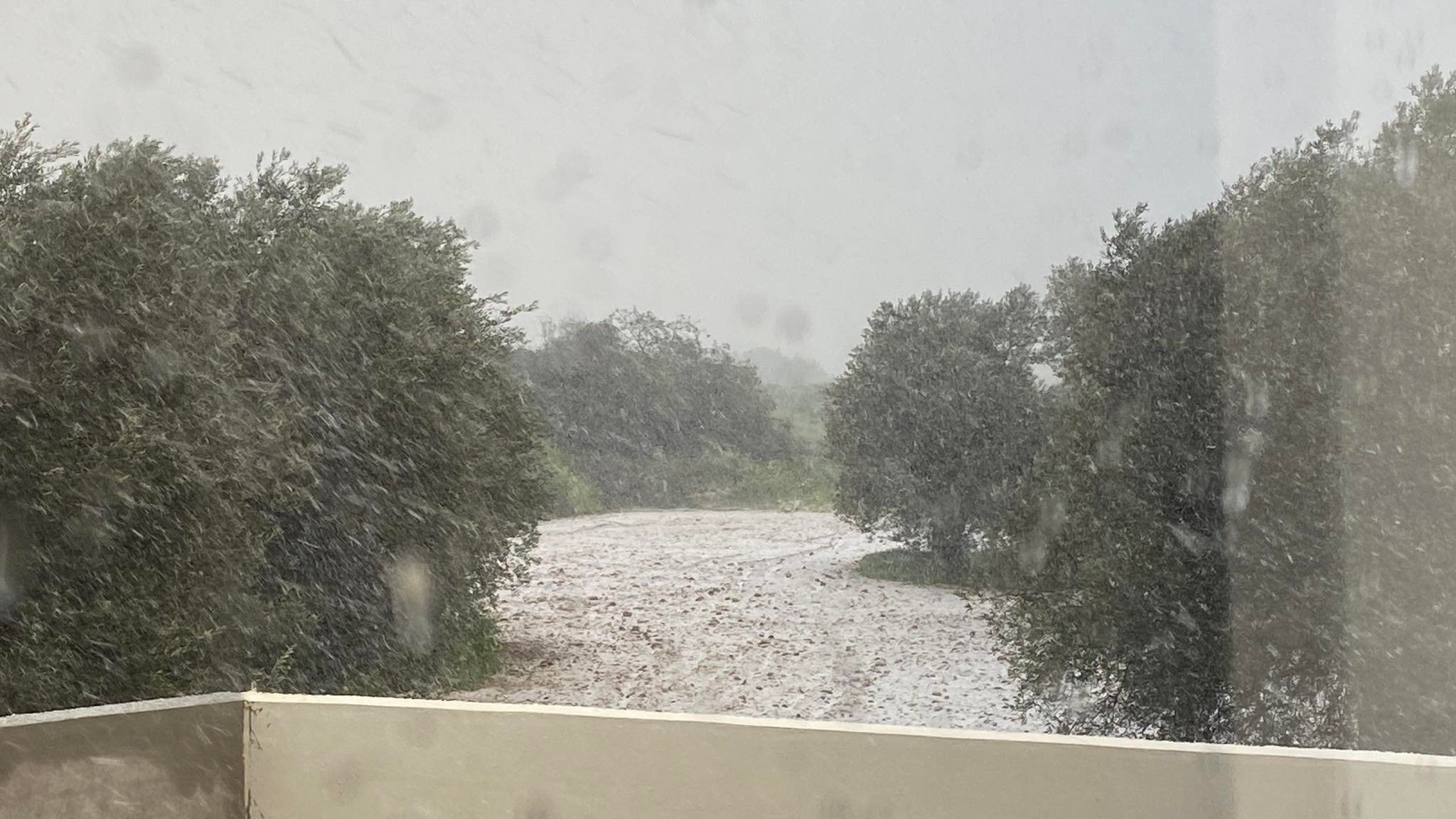 ΒΙΝΤΕΟ: Έφερε χιόνι μέχρι και τη Λευκωσία ο "Φίλιππος"