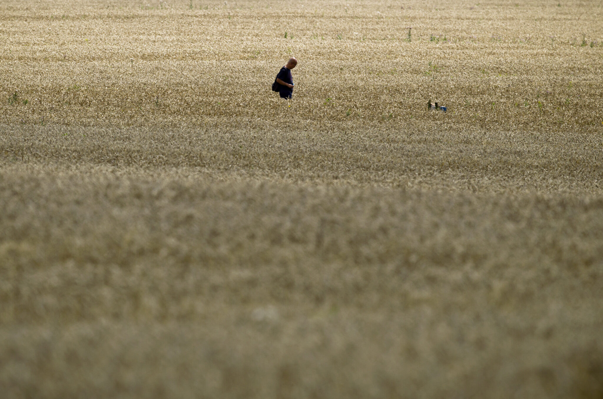 Καταστροφική για την παγκόσμια οικονομία η ρωσική εισβολή στην Ουκρανία