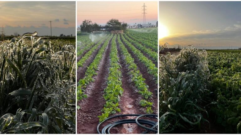 Σε απόγνωση οι αγρότες: Αλλεπάλληλα και αβάσταχτα τα χτυπήματα για τους γεωργούς