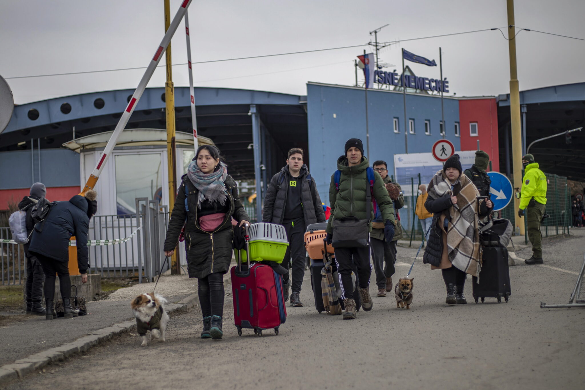 Kόμμα για τα Ζώα: Απλουστεύστε την είσοδο Ουκρανών προσφύγων με κατοικίδια