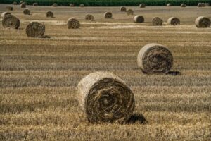 Επιδεινώνεται η κατάσταση με τις εξαγωγές σιτηρών στην Ουκρανία