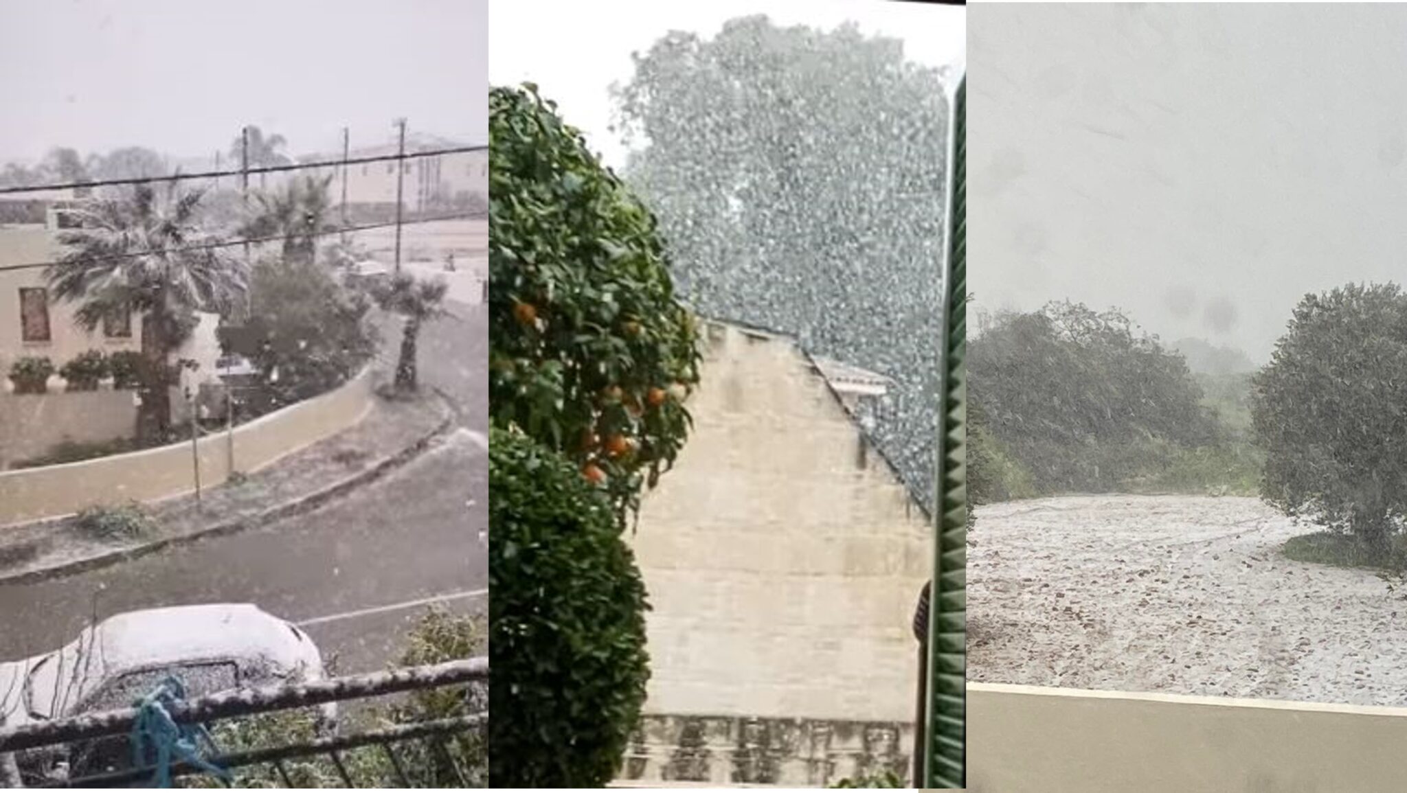 Μαγικές εικόνες: Τα 15 λεπτά έντονης χιονόπτωσης στη Λευκωσία (ΒΙΝΤΕΟ)