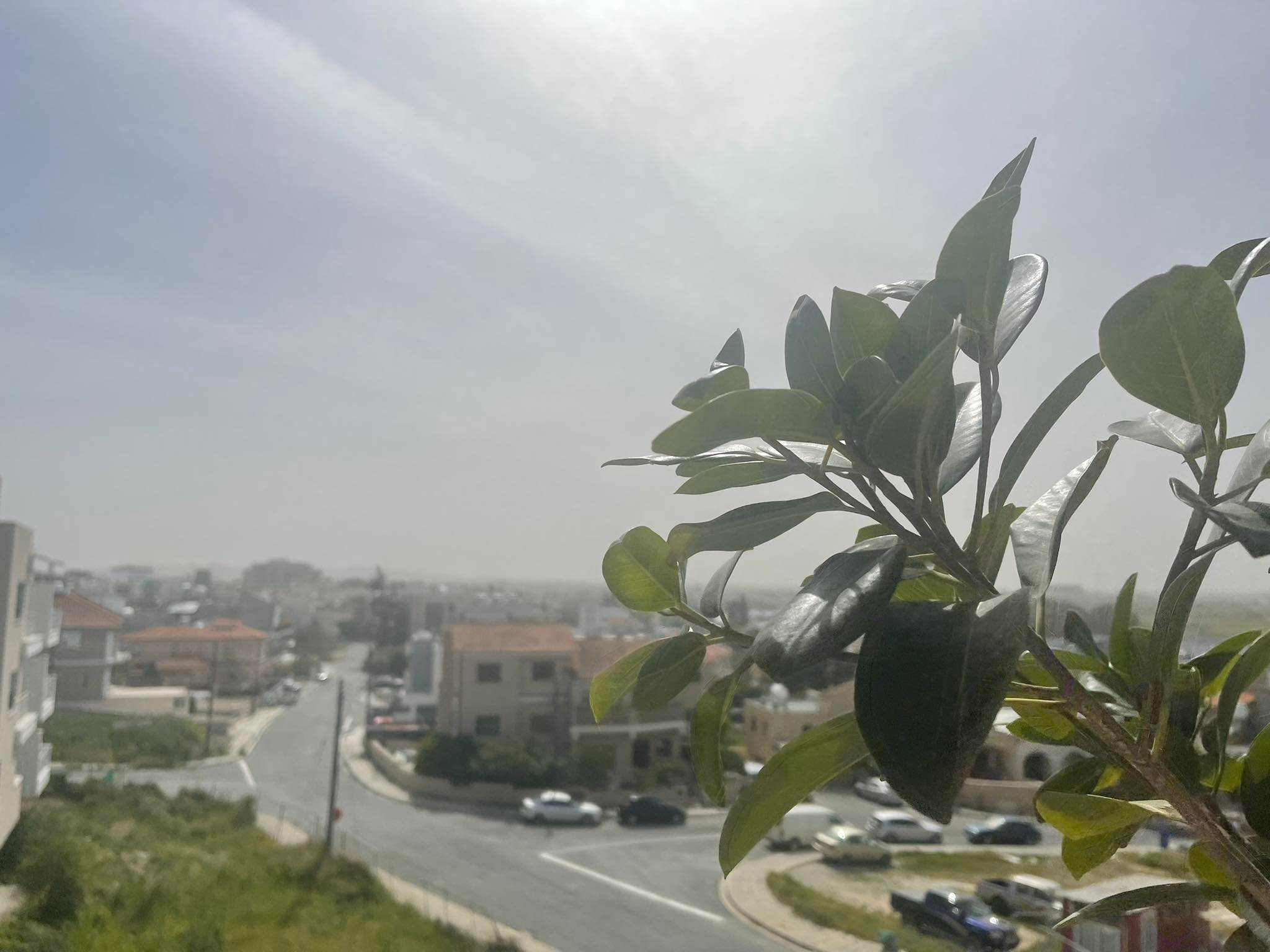 Παρά τη σκόνη, μαζεύτηκαν για να "πρασινίσουν" την Πάφο (ΒΙΝΤΕΟ)